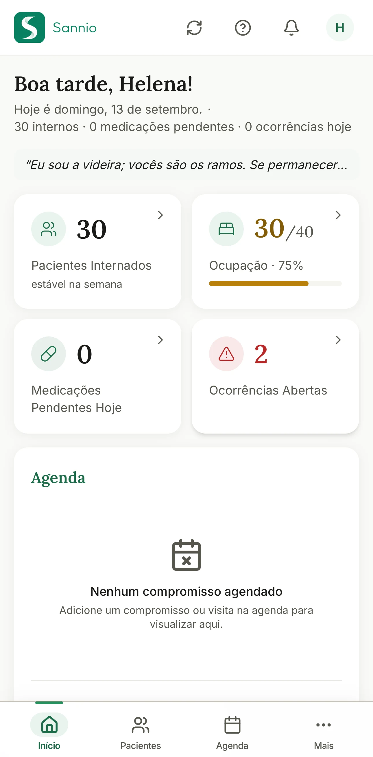 Início do Sannio no celular: saudação à coordenadora, 30 pacientes internados, ocupação de 30 de 40 leitos, medicações pendentes do dia e ocorrências abertas, com a agenda logo abaixo